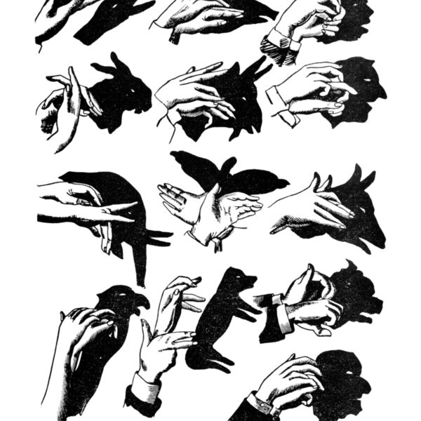 DAS shadows Thumbnail